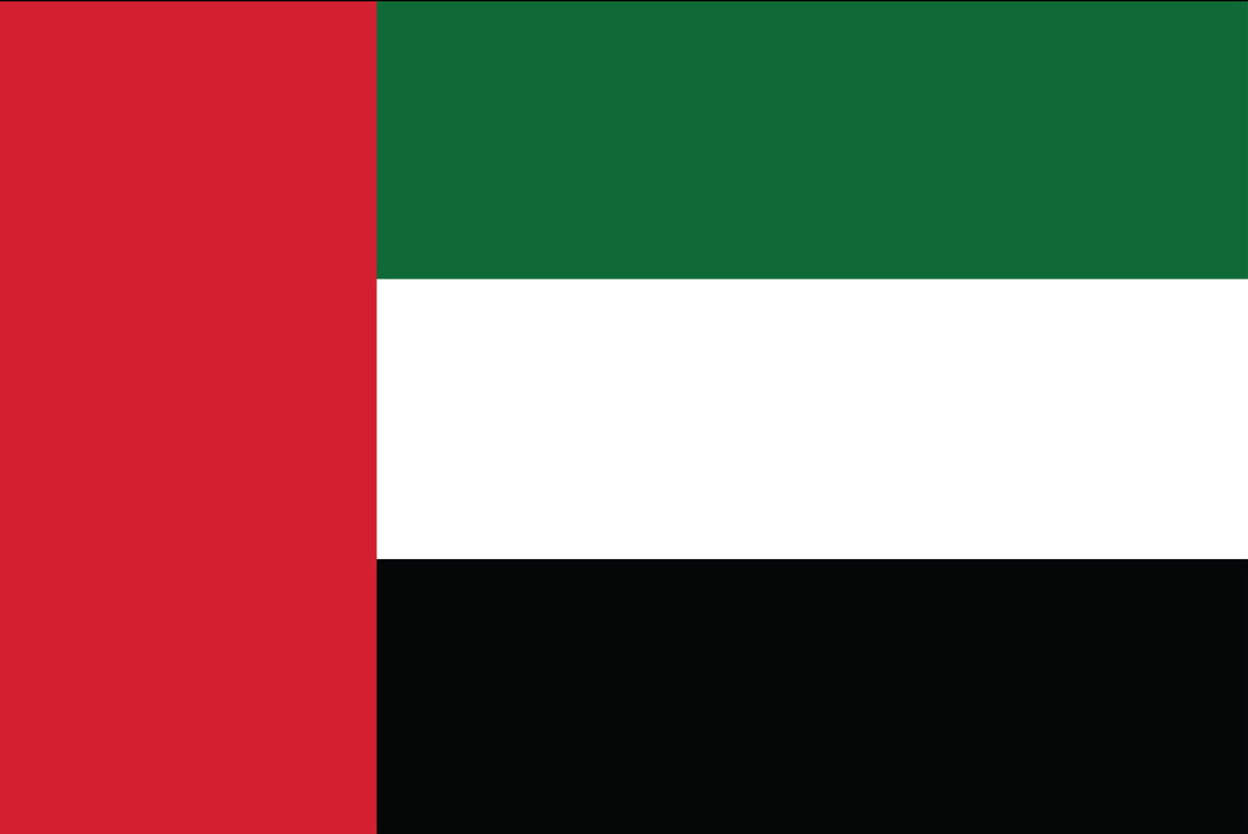 dubai flag